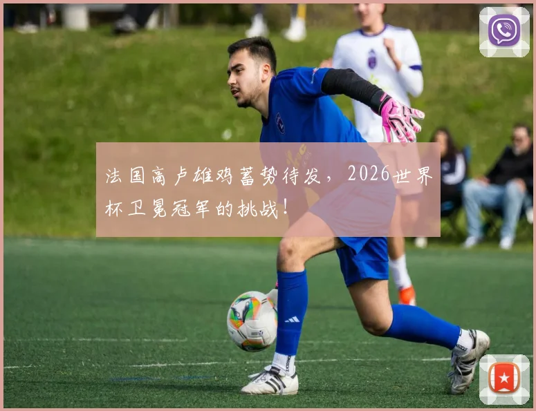 法国高卢雄鸡蓄势待发，2026世界杯卫冕冠军的挑战！