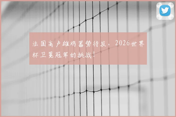 法国高卢雄鸡蓄势待发,2026世界杯卫冕冠军的挑战!